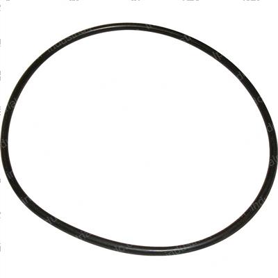 Picture of O-Ring