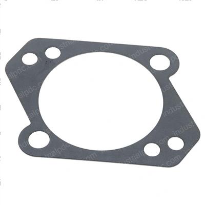 Picture of Mounting Gasket