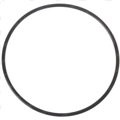 Picture of O-Ring