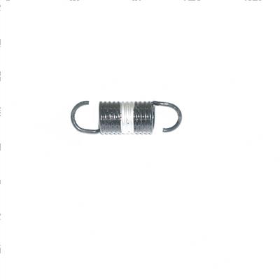 Picture of Spring-Govern0r