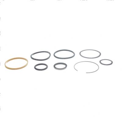 Picture of Seal Kit - Hydraulic Cylinder