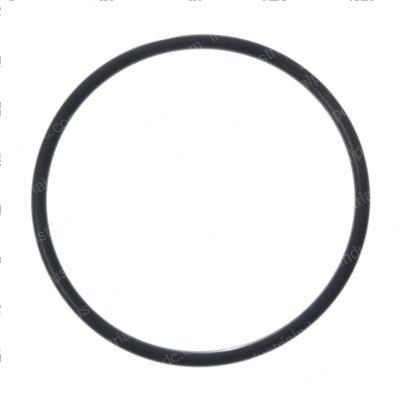 Picture of O-Ring