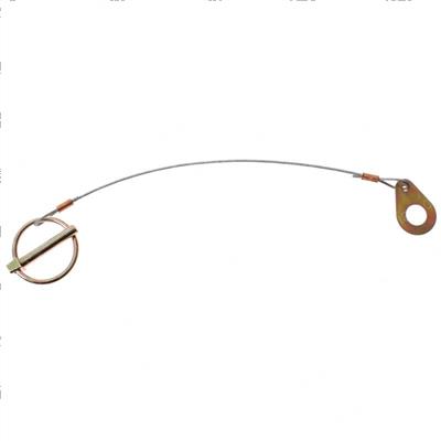 Picture of Lanyard Lynch Pin Assy