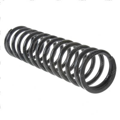 Picture of Rear Spring