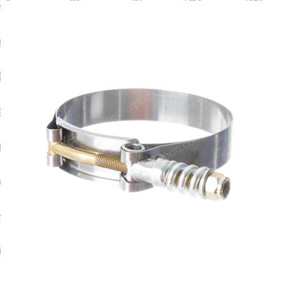 Picture of Clamp - Spring Loaded T Bolt