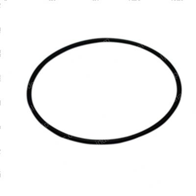 Picture of O-Ring