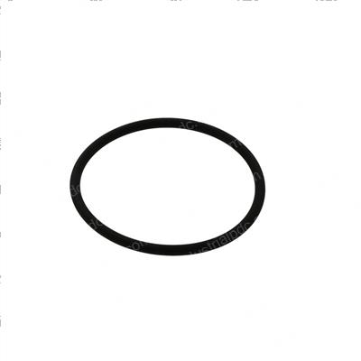 Picture of O-Ring