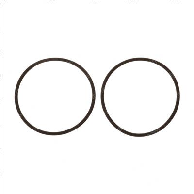 Picture of O-Ring