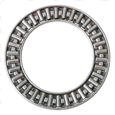 Picture of Thrust Bearing