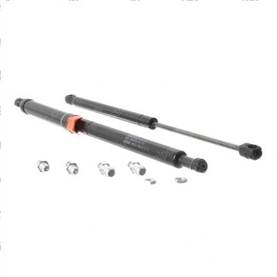 Picture of Spring Kit - Gas