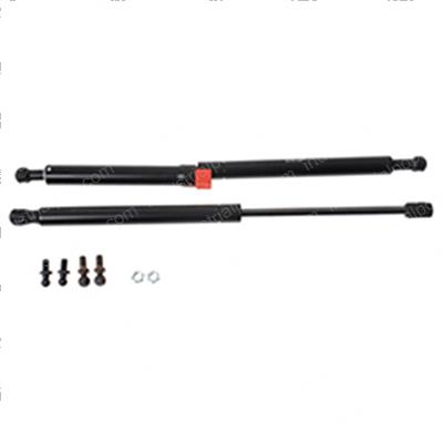 Picture of Spring - Gas