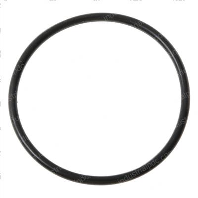 Picture of O-Ring
