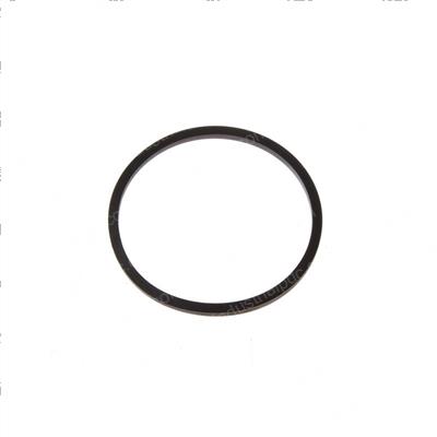 Picture of Seal