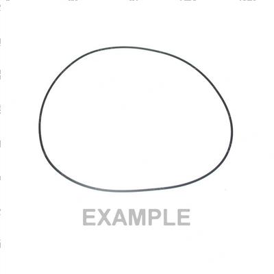 Picture of O-Ring