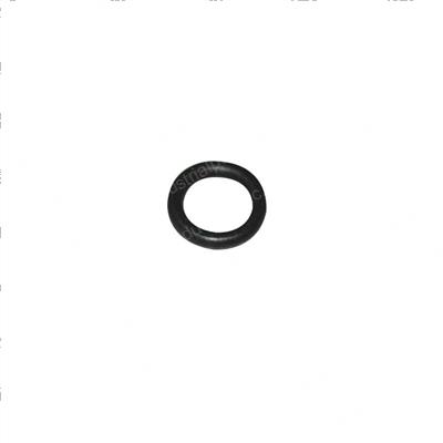 Picture of O-Ring
