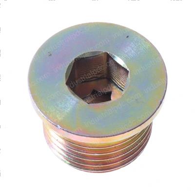 Picture of Plug
