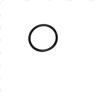 Picture of O-Ring