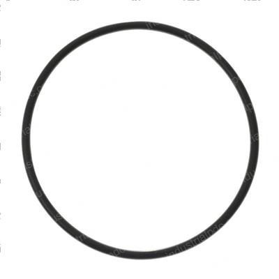 Picture of O-Ring