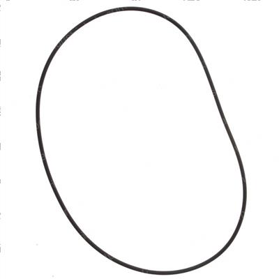 Picture of O-Ring