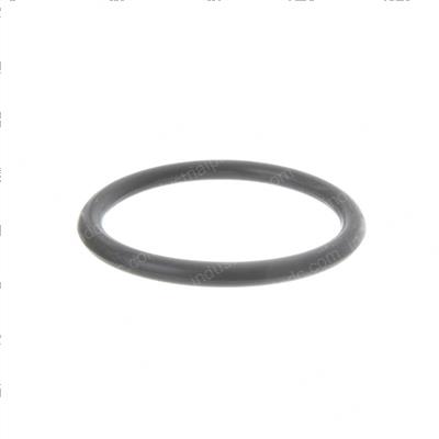 Picture of O-Ring