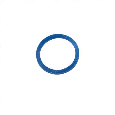 Picture of O-Ring