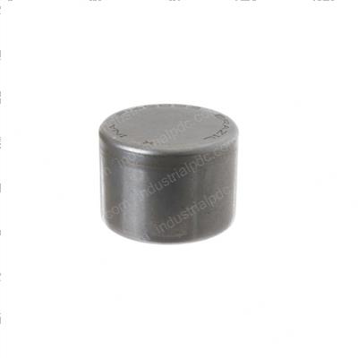 Picture of Bearing - Needle.