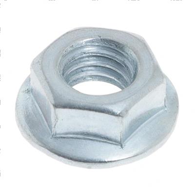 Picture of Nut