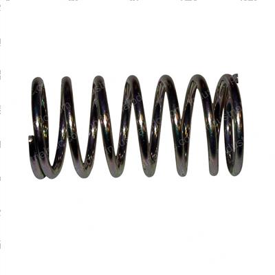 Picture of Spring Diaphrag