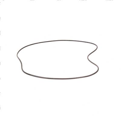 Picture of O-Ring