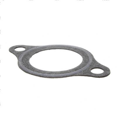 Picture of Gasket Thermostat