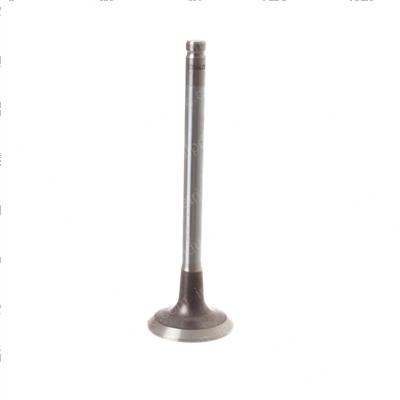 Picture of Exhaust Valve 1 6lgm