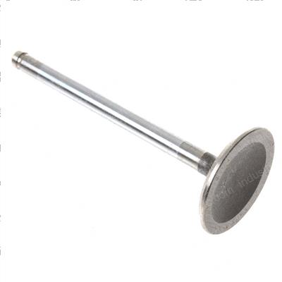 Picture of Intake Valve 1 6lgm
