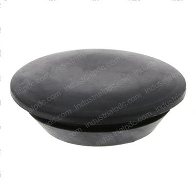 Picture of Plug - Hole