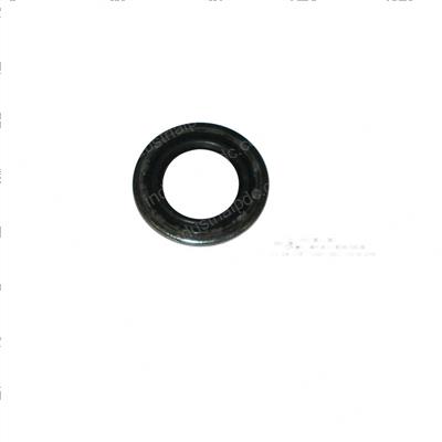 Picture of Washer