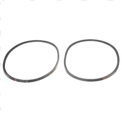 Picture of Belt - V Set of 2