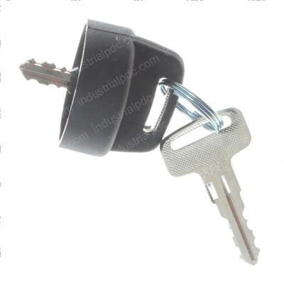 Picture of Replacement Key - 2 Pcs