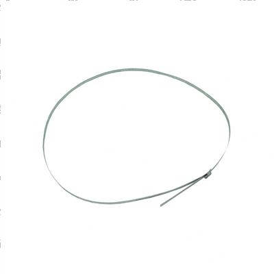 Picture of Band - Hose Clamp