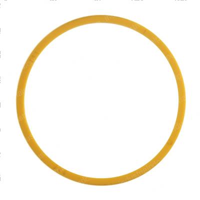 Picture of Ring - Back Up