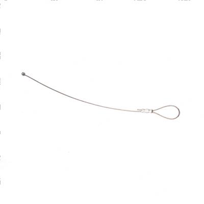 Picture of Lanyard