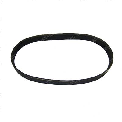 Picture of Belt