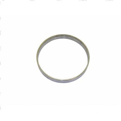 Picture of Ring - Bearing