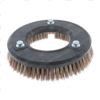 Picture of Brush 11 Inch