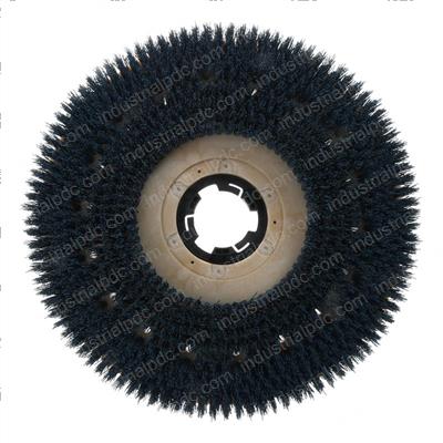 Picture of Brush 20 Inch