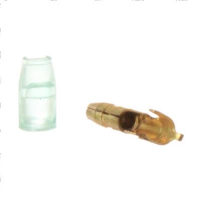Picture of Terminal Bullet