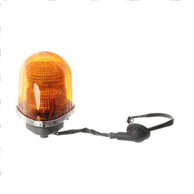 Picture of Lamp Assembly - Flashing