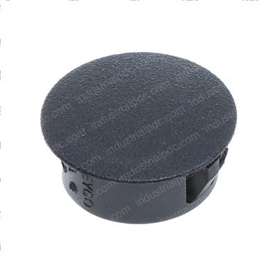 Picture of Plug Cap E00046