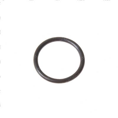 Picture of O-Ring