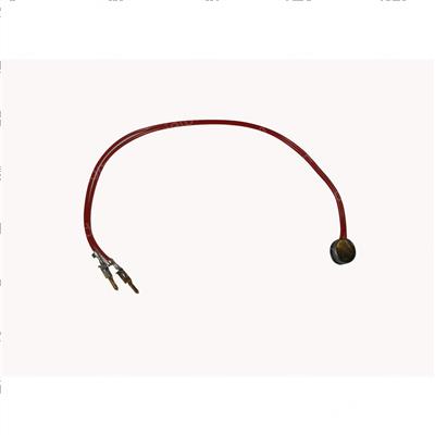 Picture of Thermistor Assembly - Motor