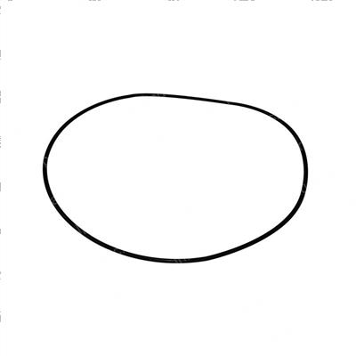 Picture of O-Ring