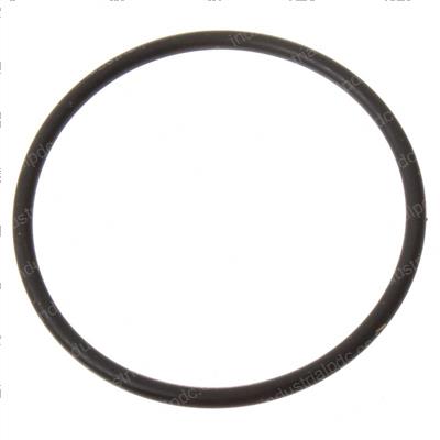 Picture of O-Ring